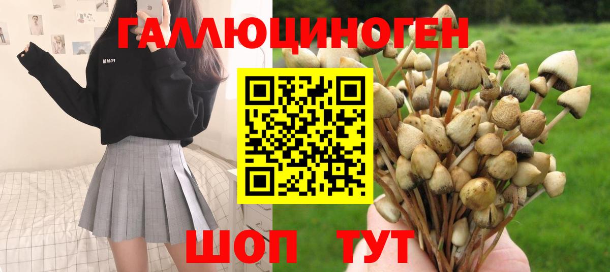 Нижневартовск  Псилоцибиновые грибы Psilocybine cubensis  Галлюциногенные грибы ЛСД  Вход с VPN 